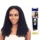Freetress Braids Synthetic Bulk Crochet Braid - WATER WAVE 14" (2 Dark Brown)