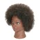 Kinky Curly Real 100% Human Hair Mannequin Head Manikin Cosmetology Doll Training Head with Stand for Hairdresser Practice Braiding Styling Bleaching Dyeing Cutting Updos