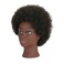 Afro Kinky Curly 100% Real Human Hair Mannequin Head with Stand for Hairdresser Practice Cosmetology Manikin Doll Training Head Braiding Styling Coloring Bleaching Dyeing Cutting Updos Display
