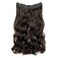 Invisible Wire Halo Hair Extensions Transparent Wire Adjustable Size 4 Secure Clips 24 Inch Long Wavy Curly Secret Hairpiece for Women