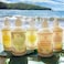 Island Soap &amp; Candle Works Botanical Liquid Hand Soap - Vegan Hand Soap for Men and Women - Luxury Skincare for Bathroom - Hawaiian Gifts for Sensitive Skin - Mango Coconut Guava - 8.5 Ounce Bottle