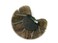 Women Bohemian Peacock Feather Hair Clip Hair Pin Elegant Fascinator Wedding Dance Party Headdress Headwear Hair Accessory Sequined Showgirl Headpiece (Style 3)