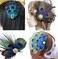 Women Bohemian Peacock Feather Hair Clip Hair Pin Elegant Fascinator Wedding Dance Party Headdress Headwear Hair Accessory Sequined Showgirl Headpiece (Style 3)