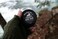 Walrus Oil - Logger's Hand Salve Cream, 2oz, 100% Vegan and Beeswax-Free, Made with Coconut Oil, Cocoa Butter, Olive Wax, and more. Peppermint and Clove scent.
