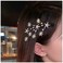 Crystal Rhinestone Bling Hair Accessories: Decorative Star Barrette, Hair Pin, and Headpiece for Women and Girls (Silver)