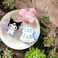 Anime Kitty Hair Clips: Japanese Cinnamoroll Hair Claws, Otaku Girl Clips (KURO)