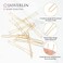U Shaped Hair Bobby Pins Blonde for Buns Maker Hairpins Updos Long Large Curly Waved Hairstyling Clips for Women Girls Ballet Wedding 2.4inch 100pcs