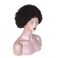 zigzag hair Afro Kinky Curly Fluffy Explosion Short Lace Front Human Hair Wigs for Black Women 10inch Natural Color Bleached Knots Brazilian Virgin Hair with Baby Hair (Lace Front Wig)