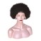 zigzag hair Afro Kinky Curly Fluffy Explosion Short Lace Front Human Hair Wigs for Black Women 10inch Natural Color Bleached Knots Brazilian Virgin Hair with Baby Hair (Lace Front Wig)