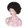 zigzag hair Afro Kinky Curly Fluffy Explosion Short Lace Front Human Hair Wigs for Black Women 10inch Natural Color Bleached Knots Brazilian Virgin Hair with Baby Hair (Lace Front Wig)