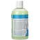 Ginger Lily Farms Botanicals Moisturizing Shampoo for All Hair Types, Island Tranquility, 100% Vegan &amp; Cruelty-Free, Green Tea Lemongrass Scent, 12 Fl Oz
