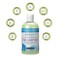 Ginger Lily Farms Botanicals Moisturizing Shampoo for All Hair Types, Island Tranquility, 100% Vegan &amp; Cruelty-Free, Green Tea Lemongrass Scent, 12 Fl Oz