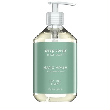 Deep Steep Liquid Hand Wash, 17.6 Ounces (Tea Tree Mint)