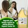 Premium Organic Castor Oil - (64 fl. oz.) 100% Pure and Hexane-Free Cold-Pressed Beauty &amp; Skincare Serum - Eyelash &amp; Eyebrow Hair Growth Enhancer