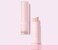 CHOSUNGAH Super Fit Mega Proof ver.5 Stick Foundation SPF50+ PA++++/ 12g, New Stick Season 5, Light Beige,Made In Korea