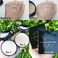 CIVIC MADAM COMPACT Pressed Powder Foundation Bright, Light Not Dull Bright, Soft Smooth, Concealing, Medium to Full Coverageb Blurs Pores &amp; Control It, UVA &amp; UVB Protection, No1 White Skin 0.60 Oz.