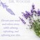 Dr. Woods Pure Lavender Liquid Castile Soap, 32 Ounce