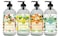 Home and Body Company   Chantilly Bloom   4 x16 fl oz   Hand Soap Set   Fragrances: Sweet Peach, Lemon Sage, Orange Blossom, Cucumber Aloe   Hand Wash Ultra Moisturizing Formula in Glass Bottles