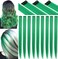 Green Hair Extensions 20 Inch colored Wig Heat-Resistant Straight Highlight Hairpieces Cospaly Fashion Party Gift for Girls 9 PCS