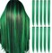 Green Hair Extensions 20 Inch colored Wig Heat-Resistant Straight Highlight Hairpieces Cospaly Fashion Party Gift for Girls 9 PCS