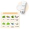 Lightweight, Hydrating, All type skin cover for ATOMY Sun White 2 set (2fl.oz. / 60ml)