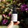 Annmarie Skin Care Anti-Aging Eye Cream - With Antioxidant-Rich Green Tea, Eyebright &amp; Cucumber Extract, Soothing for Puffiness, Fine Lines and Wrinkles, All Skin Types (15ml, 0.5 fl oz)