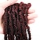 9packs/lot Faux Locs Crochet Hair 20inch Red Curly Soft Distressed Locs Wavy Crochet Braids Dreadlocks Burgundy Synthetic Goddess Faux Locs Braiding Hair Extensions (20 Inch (pack of 9), T1B/bug)
