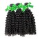 Beauty 6A Brazilian Hair 3 Bundles Remy Curly Wave Human Hair Extensions 100% Unprocessed Virgin Deep Curly Weave Natural Black Color Mixed Length 14" 16" 18" 300g