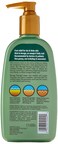 Shikai Lotion Dry Skin Therapy, Borage, 8 Fluid Ounce