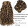 Caliee 18Inch Human Hair Jerry Curly Clip in Hair Extensions Highlight Piano Dark Brown Mixed with Strawberry Blonde for Women 3B 3C Curly Clip ins Real Remy Human Hair Extensions #P4/27 120G 7Pcs