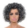 Gray Wigs for Women, Puffy Natural Grey Curly Wig with Bangs, Heat-Resistant Fiber Deep Wave Short Wig Daily Use for Middle-Aged and Elderly Women