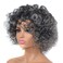 Gray Wigs for Women, Puffy Natural Grey Curly Wig with Bangs, Heat-Resistant Fiber Deep Wave Short Wig Daily Use for Middle-Aged and Elderly Women