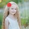 inSowni 20 Pack Large Chiffon Flower Alligator Hair Clips Big Fabric Lotus Flower Hair Barrettes with Rhinestone Clothes Brooch Pins Floral Bows Accessories for Baby Girls Toddlers Kids Teens Women