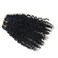 12inch 120g Natural Brazilian Virgin Remy Clip In Hair Extension Kinky Curly 3B 3C African American Clip In Hair Extensions 7Pcs/Set