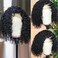 Venice Hair 13x6 Lace Front Human Hair Wigs for Black Women Virgin Curly Human Hair Wigs Short Lace Frontal Wig Pre Plucked with Baby Hair (14 inch, 150% density)