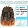 10 Inch Short Passion Twist Hair 8 Bundles Kinky Curly Crochet Hair for Black Women Curly Braiding Hair Crochet Braids Hair (8Bundles10 Inch, 1B/27#)