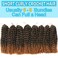 10 Inch Short Passion Twist Hair 8 Bundles Kinky Curly Crochet Hair for Black Women Curly Braiding Hair Crochet Braids Hair (8Bundles10 Inch, 1B/27#)