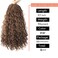 Ayana 12 Inch Crochet Box Braids Curly Ends Bohomian Crochet Braids Box Braids 3X Goddess Box Braids Crochet Hair Synthetic Crochet Braids Hair Extensions(12 Inch-8Pack, 30#)