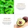 Avocado Eye Mask 60 Pcs, Under Eye Patches for Dark Circles and Puffiness, Moisturizing Nourishing Eye Treatment Mask, Moisturizing and improving eye skin dryness