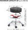 Grace &amp; Grace Height Adjustable Rolling Swivel Stool Chair with Wheels,Heavy Duty Work Stool for Salon,Massage, Factory, Shop(Black,with Foot Ring)