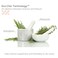 GIOVANNI Eco Chic 50:50 Balanced Hydrating Calming Conditioner - Leaves pH Balanced for Over-Processed Hair, Lauryl &amp; Laureth Sulfate Free, Color Safe - 8.5 oz (Pack of 3)