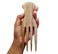 Elevate Your Style with an African Wooden Parting Comb - Premium Wood Hair Pick with Wide Tooth Design