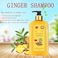 Ginaday Instant Ginger Hair Regrowth Shampoo, Anti-Hair Loss (500ML/1PCS)