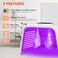 Holsn Red Light Therapy for Face Body 7 Color LED Therapy Light Photon LED Light Therapy Lamp with Spray, Professional LED Face Mask Light Therapy Mask Facial Beauty Machine SPA Skin Care Rejuvenation