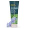 Desert Essence Dry Scalp Care Shampoo, Cleanse and Hydrate Hair and Scalp, Fights Flakes, Improves Hair Volume, Strength and Texture, 8 Fl. Oz. Bottle