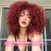 rosmile Curly Wigs for Black Women -Burgundy Synthetic African American Full Kinky Curly Afro Hair Wig with Bangs (Free 1pc Professional Wig Comb and 4pcs Wig Caps)