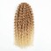 Kinky Curl Short Hairstyle 8 Inch 3pcs/pack Afro Kinky Twist Hair Blonde Soft Synthetic Crochet Braiding Hair Extention (blonde)
