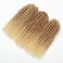 Kinky Curl Short Hairstyle 8 Inch 3pcs/pack Afro Kinky Twist Hair Blonde Soft Synthetic Crochet Braiding Hair Extention (blonde)