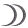 2PCS Moon Crescent Hairpin For Women Viking Hair Stick Forks Knot Hair Styling Pins (ZZAS)