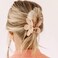 Flower Hair Clips 8PCS, Large Claw Clips for Women Girls Thick Thin Hair, Strong Hold Nonslip Big Dasiy Jaw Clamps Matte Hair Accessories 8 Colors